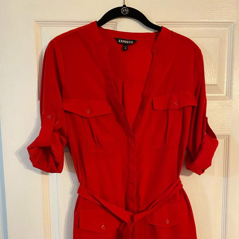 Express Button Down Dress - image 1